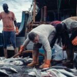 US$55M Industrial Fish Project In Limbo