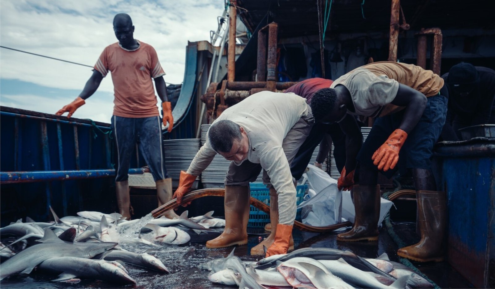 US$55M Industrial Fish Project In Limbo