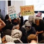 US government has revoked more than 600 student visas, data shows