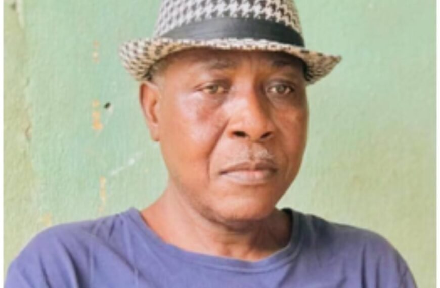 A Tribute To Ibrahim Karim Sei : A…