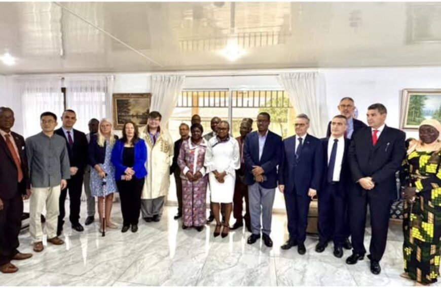 NRA Commissioner General Engages Diplomatic Corps on Tax&hellip;