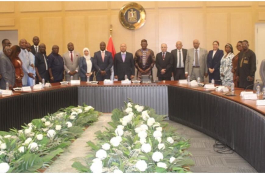 SLNSC MD Backs Regional Connectivity In Cairo-Alexandria Talks