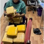 Major Drug Bust at Jendema Border Crossing Point: