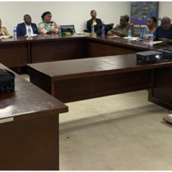 OGP Steering Committee Engages Its Memebrs On The National Action Plan V