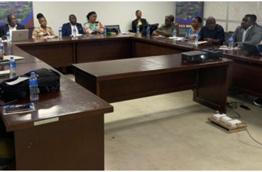 OGP Steering Committee Engages Its Memebrs On The…