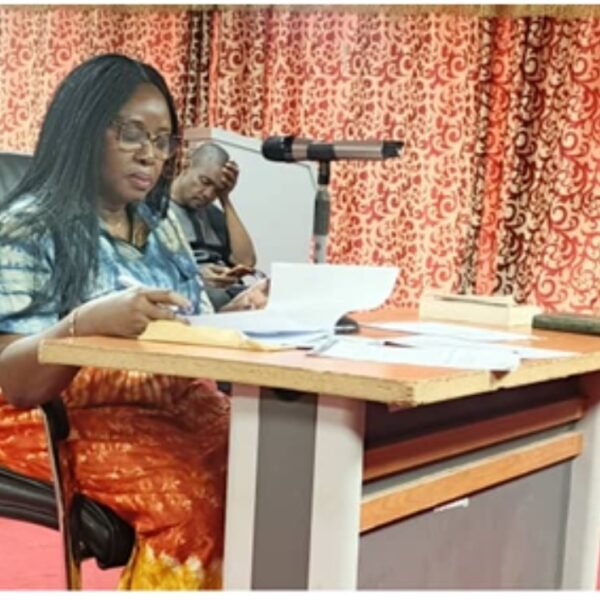 PROPOSED DEPUTY MINISTER 2 FACES PARLIAMENTARY VETTINGS