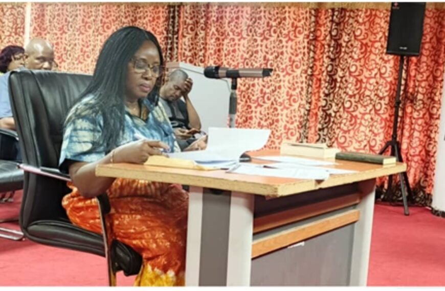 PROPOSED DEPUTY MINISTER 2 FACES PARLIAMENTARY VETTINGS