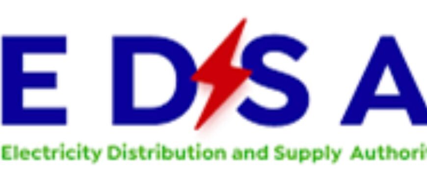 Electricity Distribution and Supply Authority